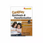Conquer Synthesis & Transformation for Primary 6