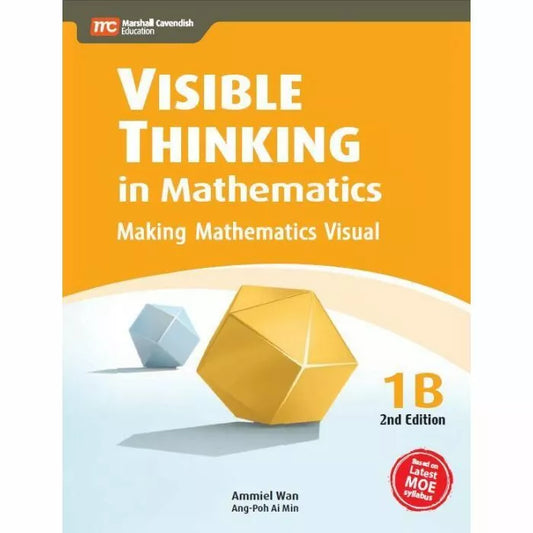 Visible Thinking in Mathematics 1B (2E)