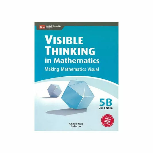 Visible Thinking in Mathematics 5B (2E)
