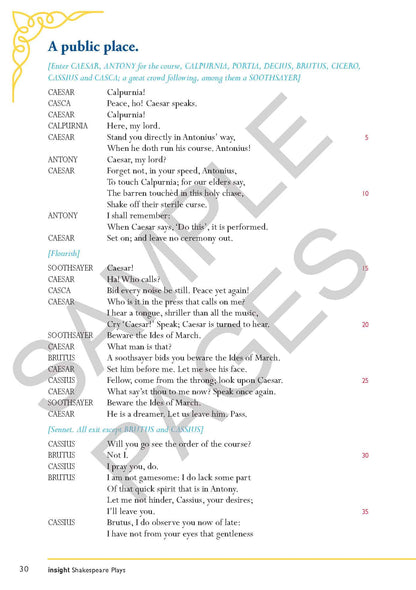 Julius Caesar - William Shakespeare - Insight