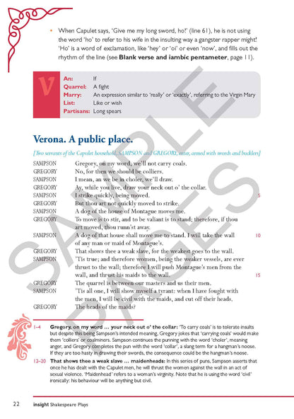 Romeo and Juliet - Shakespeare Play Series
