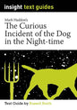 The Curious Incident of the Dog in the Night-time - Insight