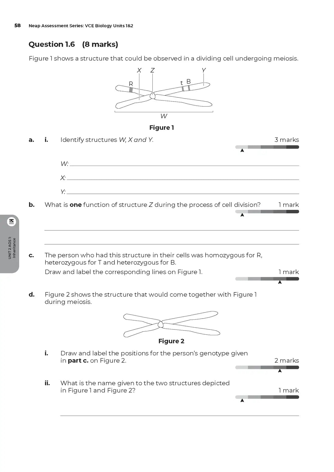 Neap Assessment Series: Biology Units 3&4