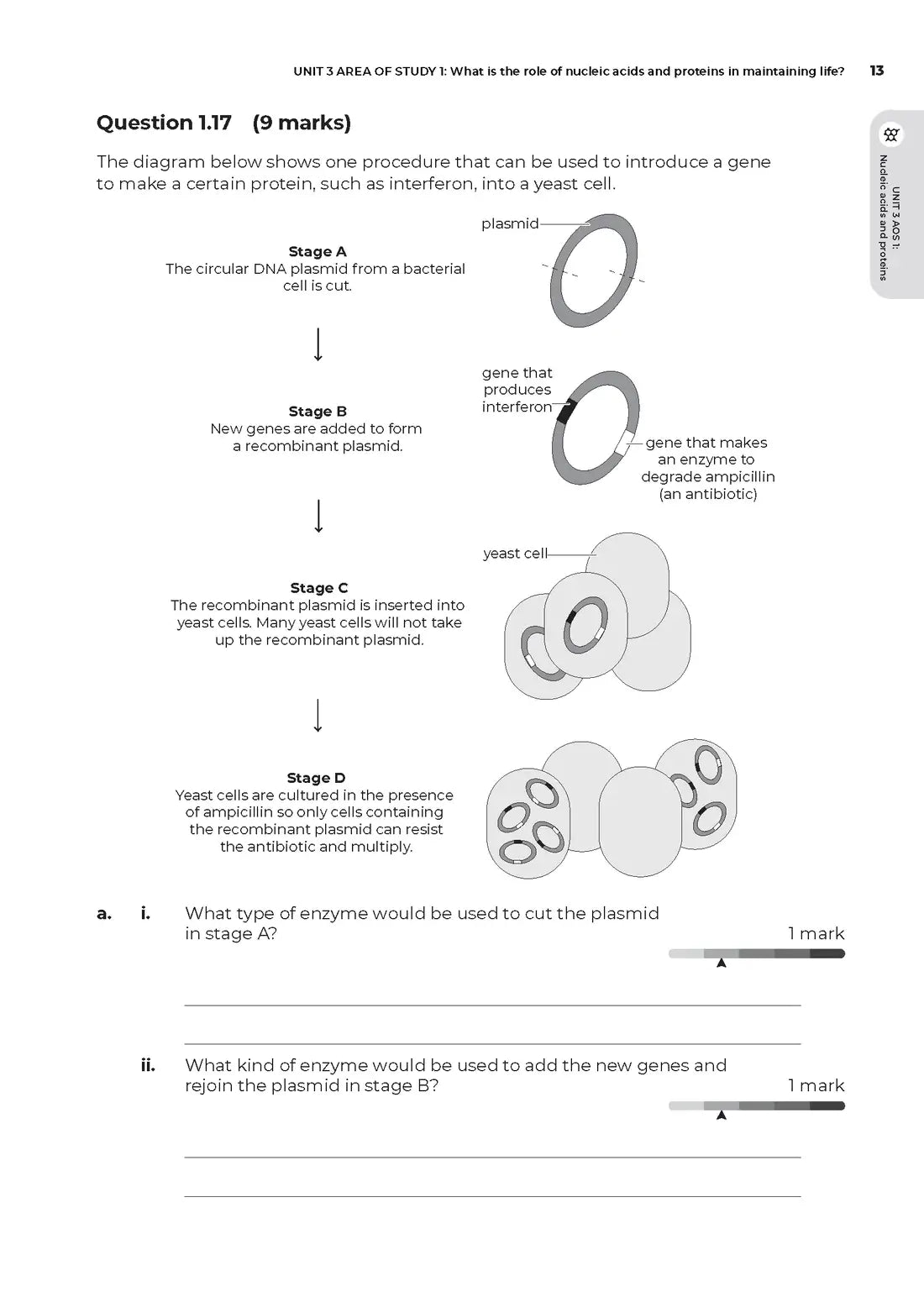 Neap Assessment Series: VCE Biology Units 3&4