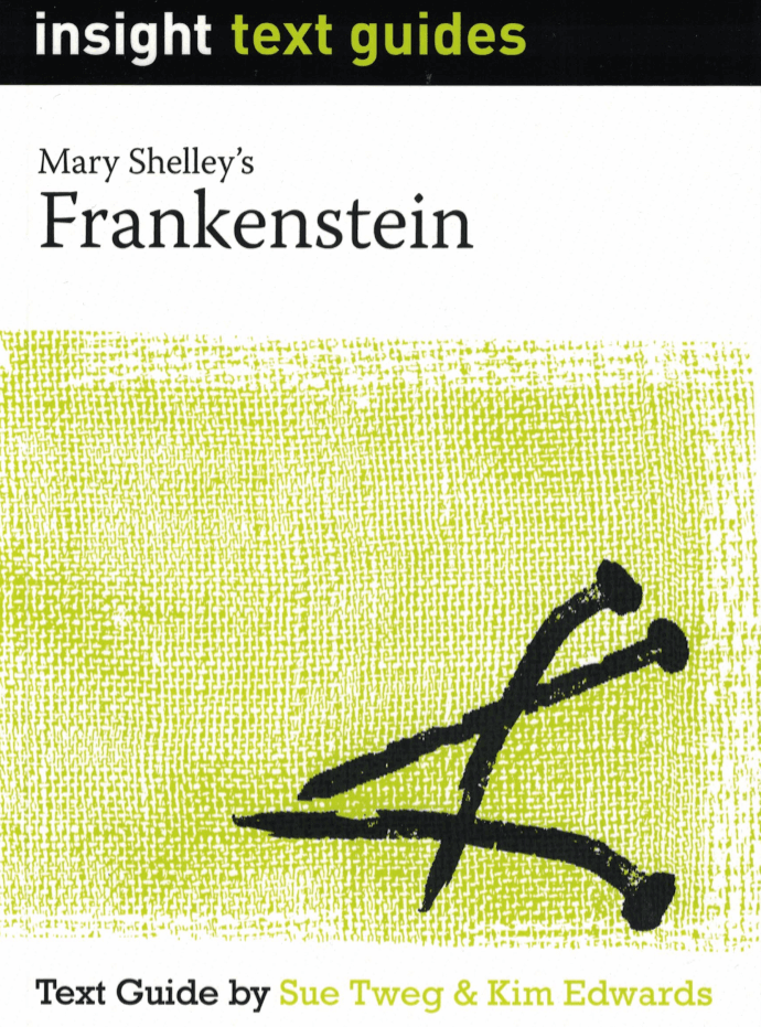 Insight – Frankenstein
